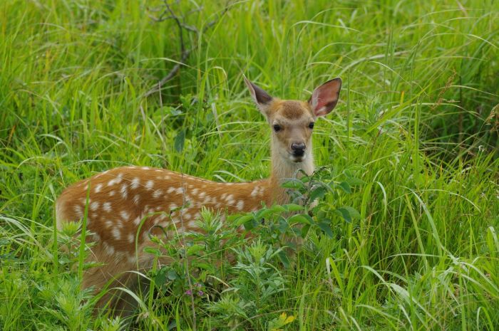 Pentax 150-450mm Sample Image