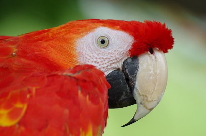 Pentax 150-450mm Sample Image