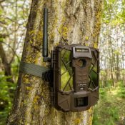 Trail Cameras