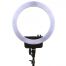 Venus 29C LED Ring Light