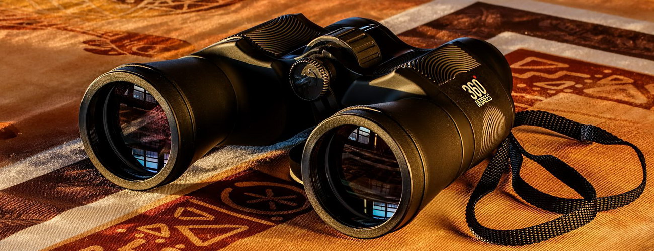Image by Steve Buissinne from Pixabay