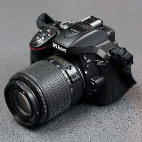 Nikon D5300 - S5946