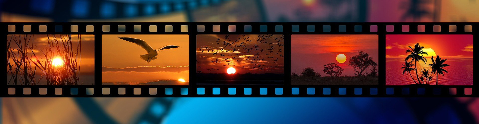 Film Processing - Banner