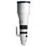 Sigma 300-600mm F4 DG OS E S025