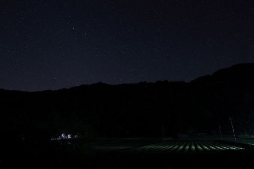 Sigma 12mm F1.4 DC C - RF