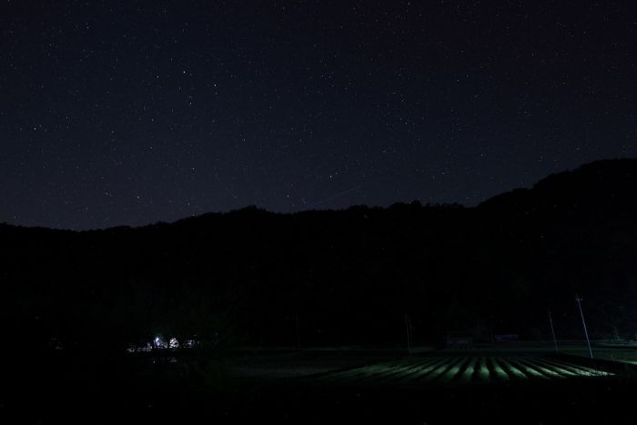 Sigma 12mm F1.4 DC C - RF
